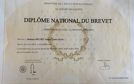 Brevet des collèges – 2018